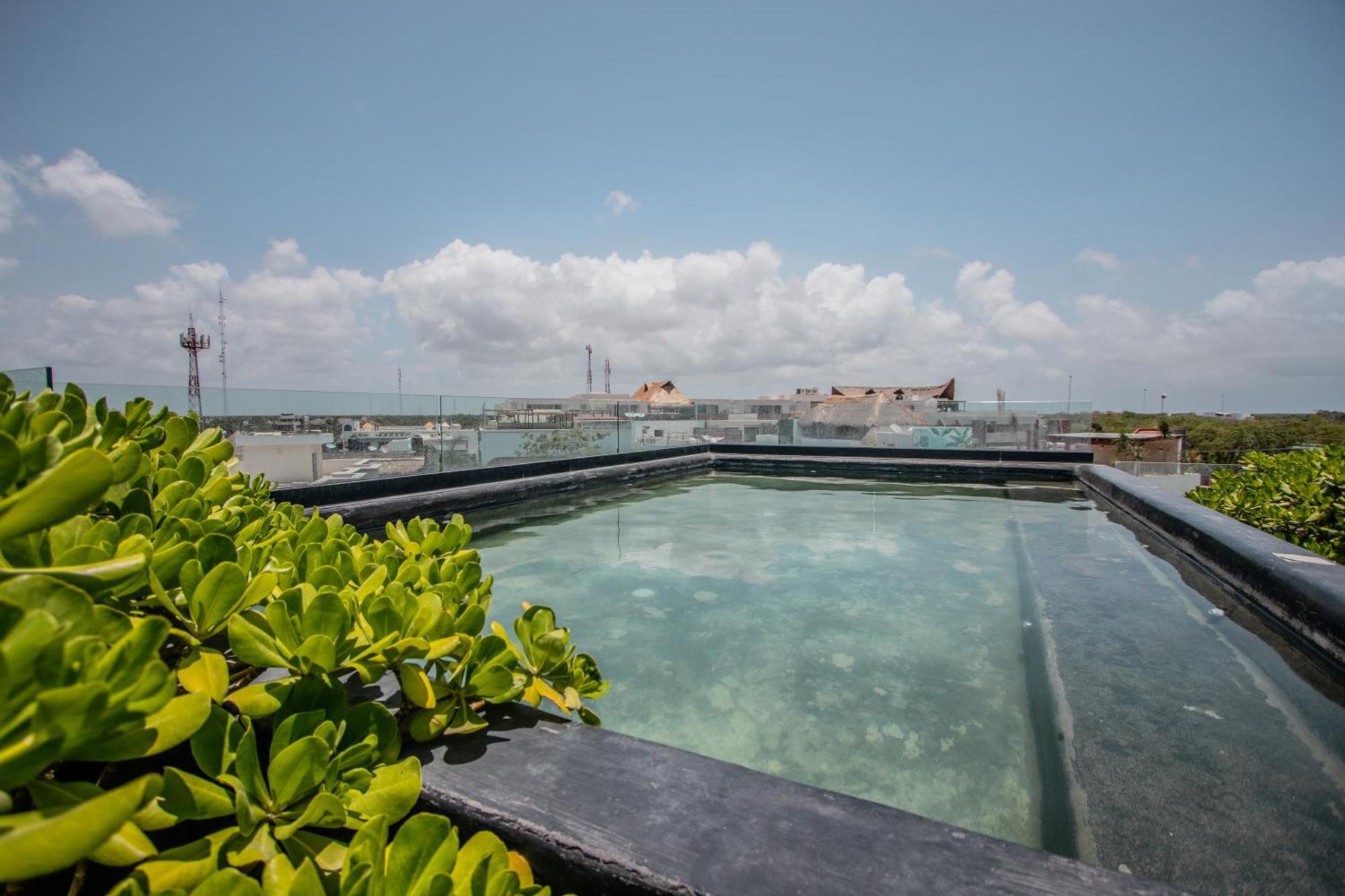 Апартаменты Depto De Lujo Con Plunge Pool Privada Тулум Экстерьер фото